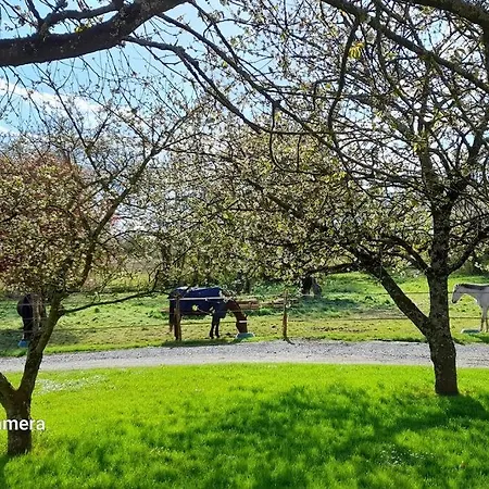 Holiday home De Groupe Du Coudray